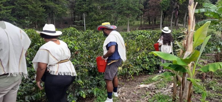 WhatsApp Image 2023-06-02 at 15.17.08
